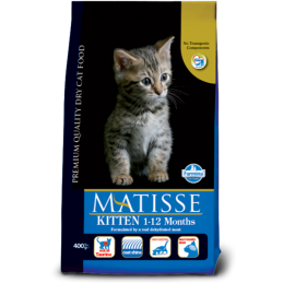MATISSE Kitten