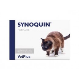SYNOQUIN EFA CAT N30
