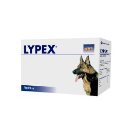 LYPEX N60 kapsulas suņiem