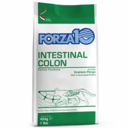 Forza10 CAT Intestinal Colon