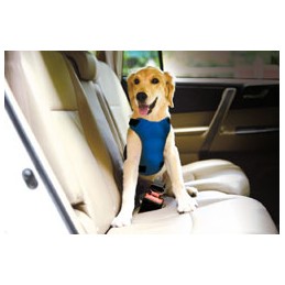 Krūšu siksna suņu pārvadāšanai automašīnā