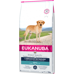Eukanuba Labrador Retriever
