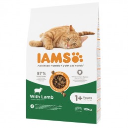 IAMS CAT ADULT LAMB