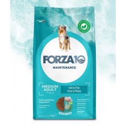 FORZA10 Medium Adult Dog Fish