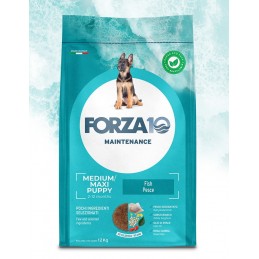 FORZA10 Puppy medium/large...