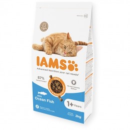 IAMS CAT ADULT OCEAN FISH