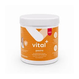 Mera Vital Gastro 300g