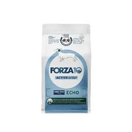 Forza10 DOG ECHO Active...